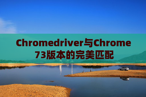 Chromedriver与Chrome 73版本的完美匹配